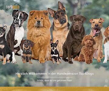 Webschmiede Referenz - Hundepension Top4Dogs - Screenshot