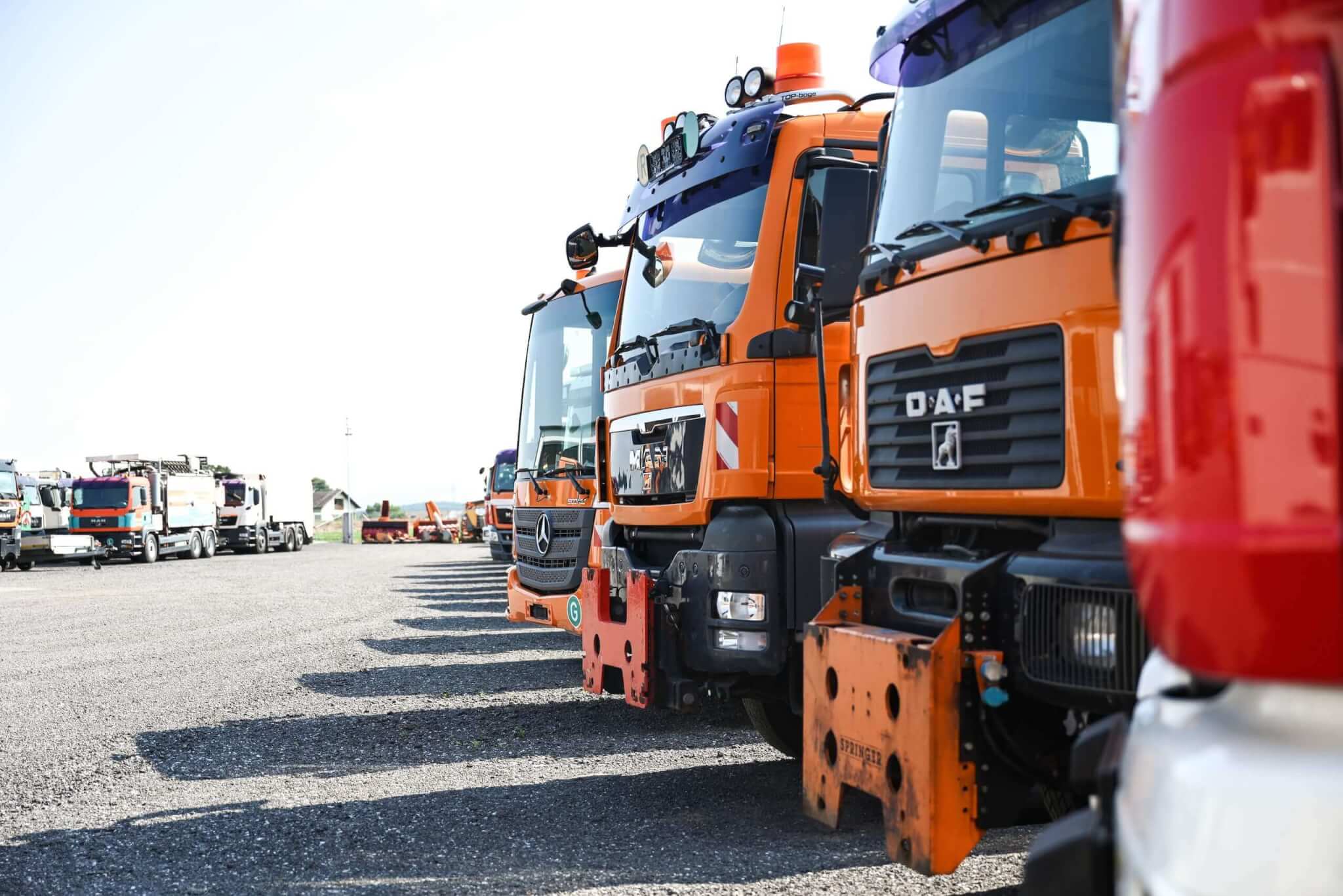 Reihe von Schwerlast-LKWs in verschiedenen Marken auf einem Parkplatz bei sonnigem Wetter.